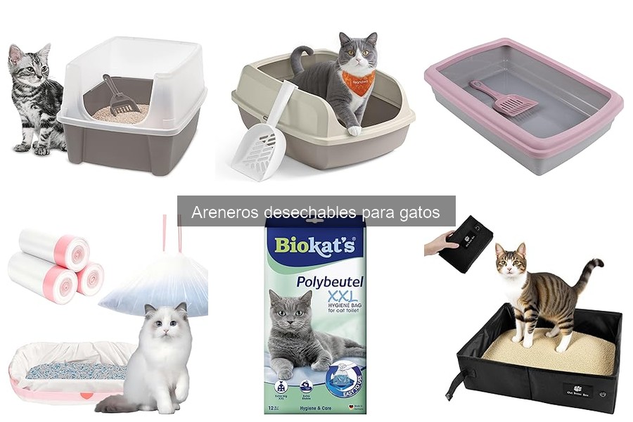 Ventajas y Desventajas de Areneros Desechables para Gatos