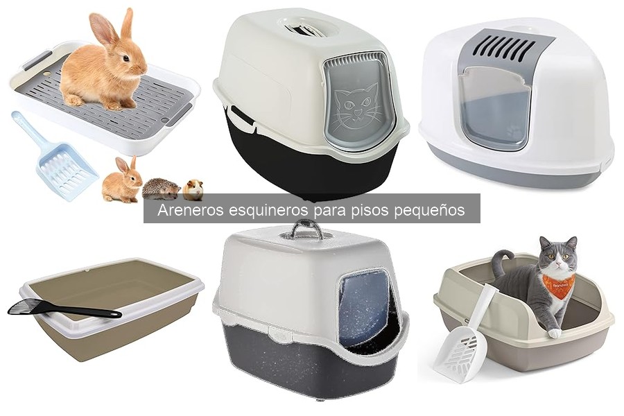 Ventajas y desventajas de areneros esquineros para gatos