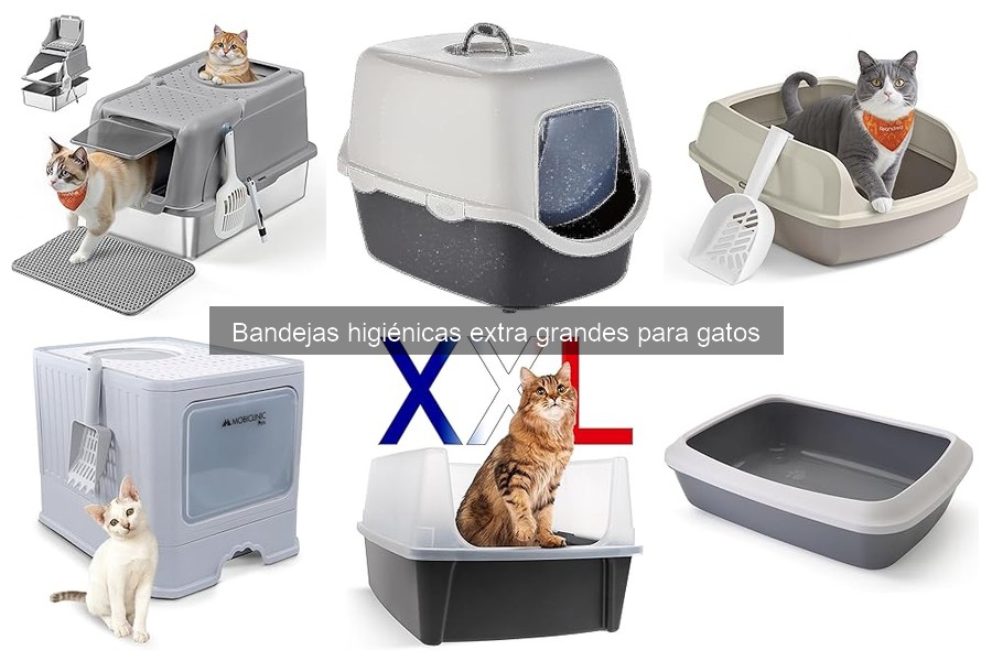 Ventajas y Desventajas de Bandejas Higiénicas Extra Grandes para Gatos