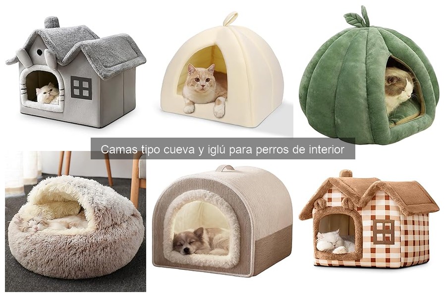 Ventajas y desventajas de las camas cueva para perros