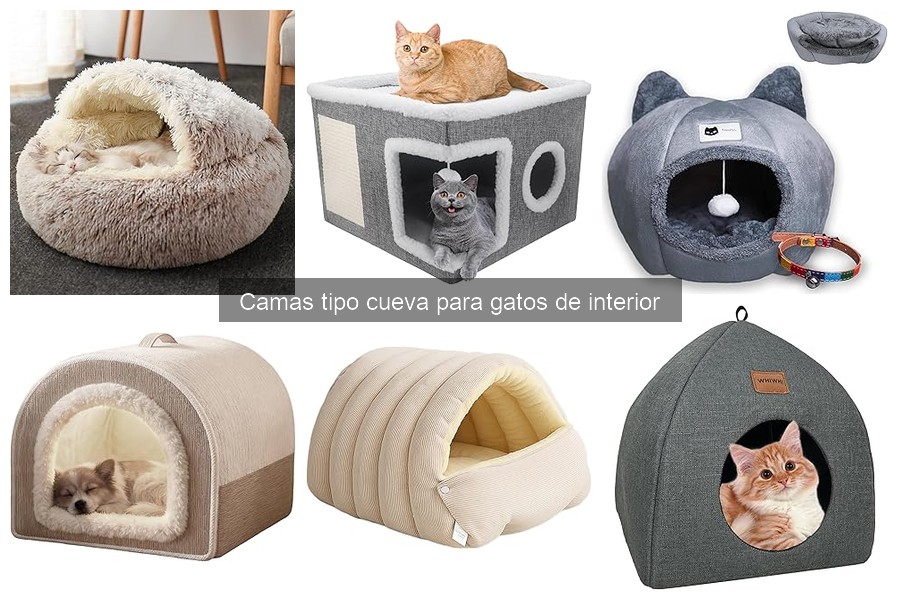 Ventajas y desventajas de las camas tipo cueva para gatos