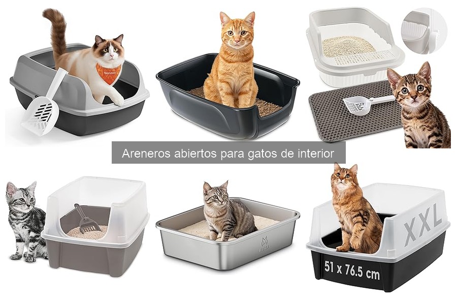 Ventajas y desventajas de los areneros abiertos para gatos