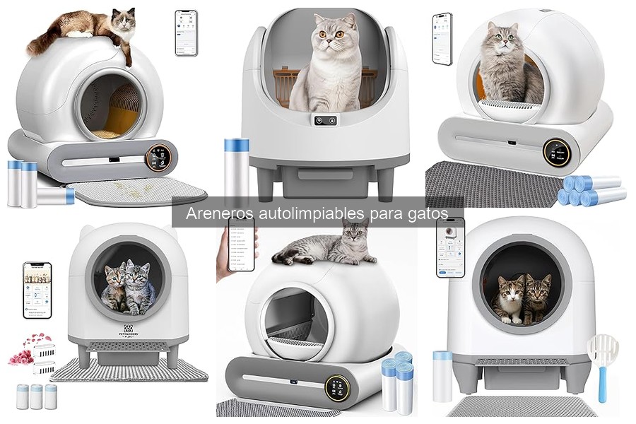 Ventajas y desventajas de los areneros autolimpiables