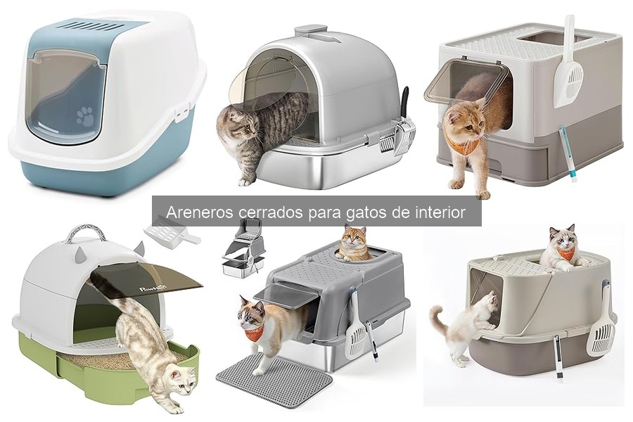 Ventajas y desventajas de los areneros cerrados para gatos