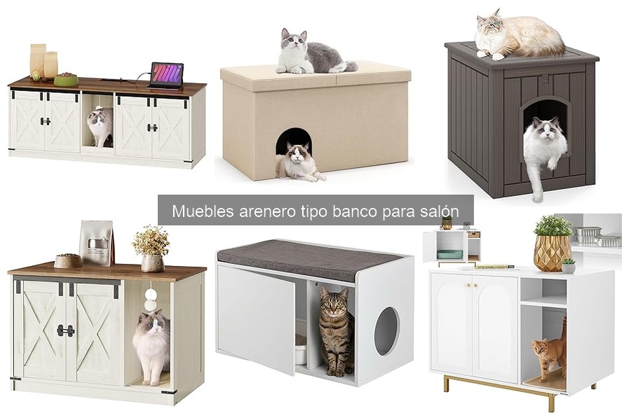 Ventajas y desventajas de los muebles areneros tipo banco