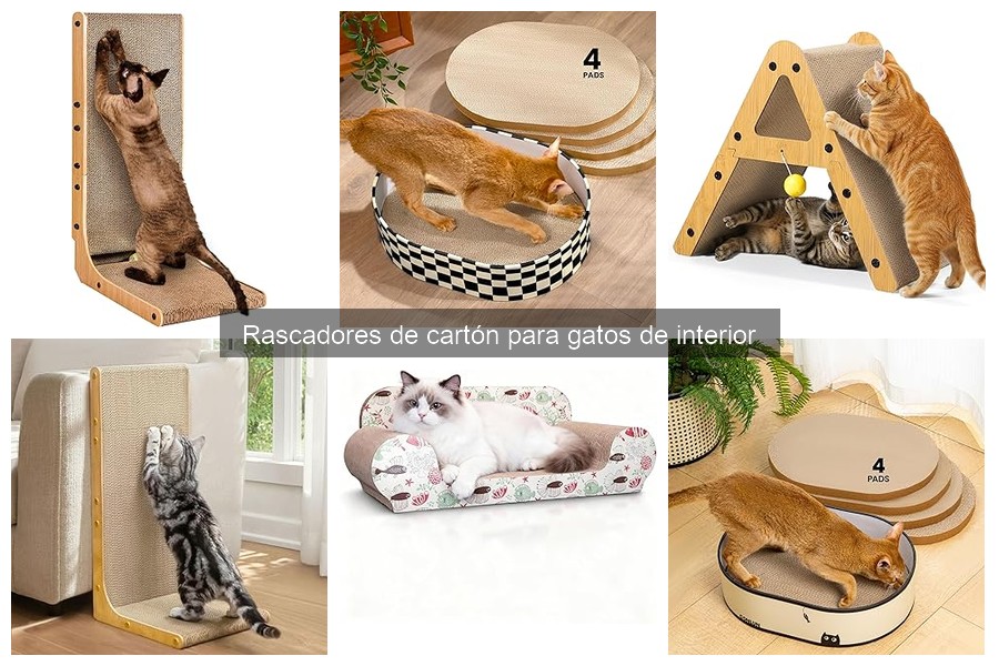 Ventajas y desventajas de los rascadores de cartón para gatos